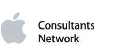 consultant logo